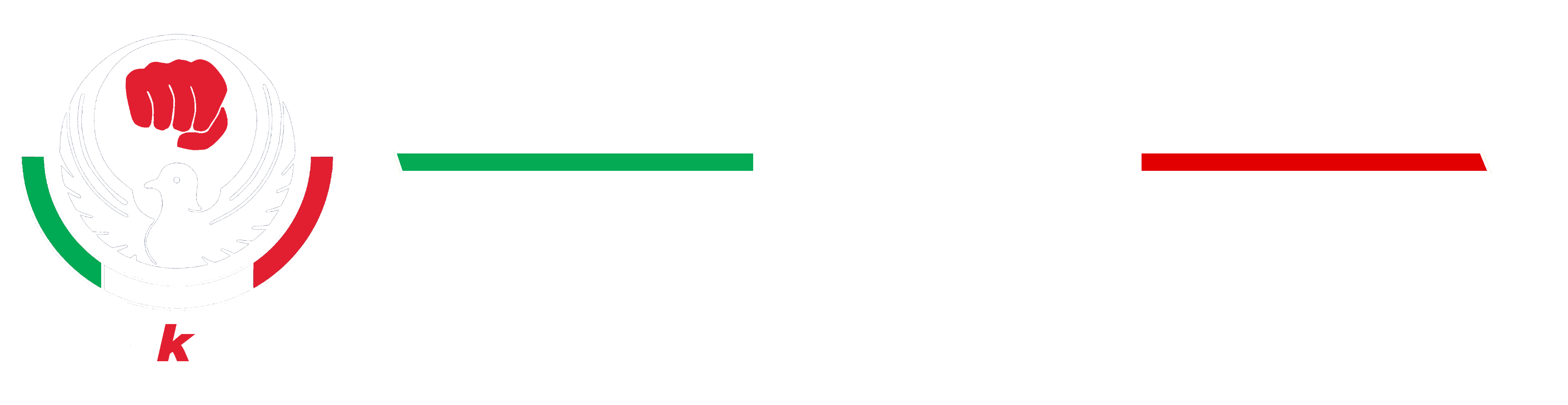 Wadokai Karatedo Shin-Gi-Tai Italia